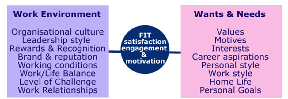 Motives and values affect fit within an organisation, team and role