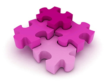 the leadership puzzle