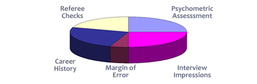 Selection pie, all the information you have about a candidate